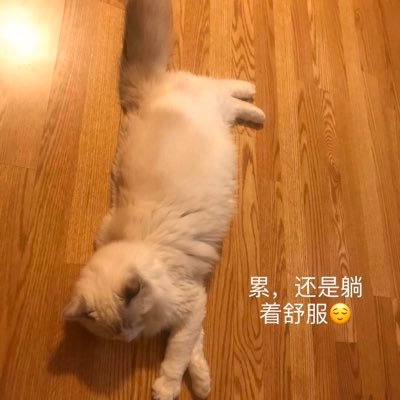 qqxlafk514's profile picture. Hey