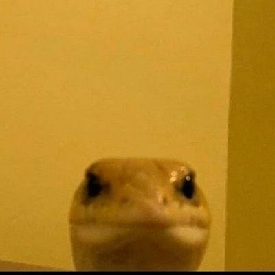 Twitch_vSxnistr's profile picture. It was fun while it lasted lmao ~
||
∆° Creator of Schlatt Translators °∆