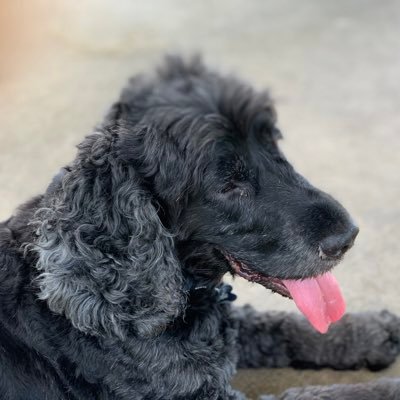 HorwillJason's profile picture. 