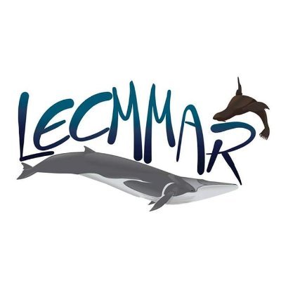 Laboratorio de Ecología y Conservación de Mamiferos Marinos. Más info: https://t.co/se2dVWBPzH #Whales #Chile #MarineMammals