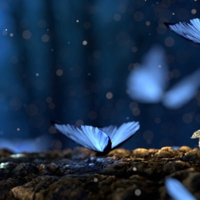 belight67's profile picture. Bonjour, si tu lis ceci tu t’es probablement perdu.