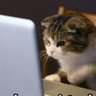 Hollydev2's profile picture. Ingeniero en Informática, experto en ciberseguridad, desarrollador Apple e iOS (Objective-C), especializado en Laravel y C#.  Ethical Hacking / Pentest.WhiteHad