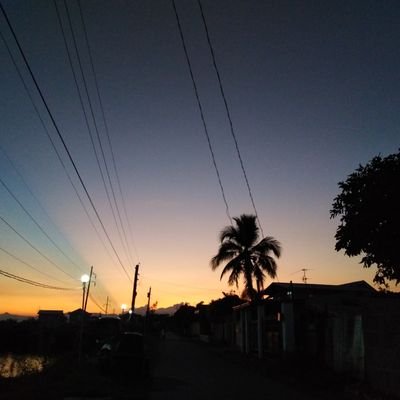 moon_hunt_'s profile picture. 