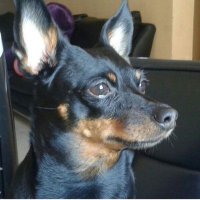 Yulia (@yusme79897763) 's Twitter Profile