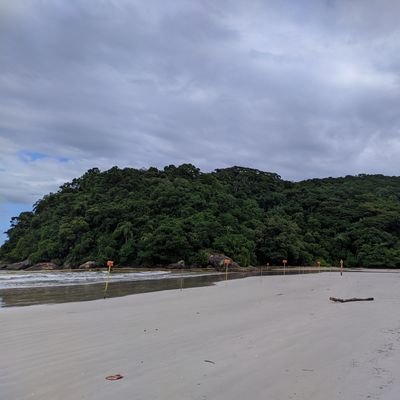 timtones123's profile picture. 