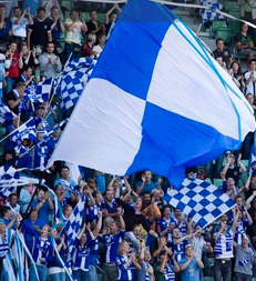 fossefallet's profile picture. 