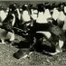 Ecology Tweets (@ecology_tweets) Twitter profile photo Ecology Tweets (@ecology_tweets) Twitter profile photo