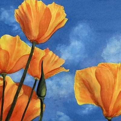 alleywho2's profile picture. Woman = Human Adult Female   #LGBTerven 
 #LGBWithOutTheTQ   #LesbianNotQueer   #LetWomenSpeak
It's a Great Day on Planet TERF!