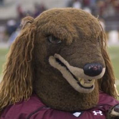 blackmarkettap1's profile picture. no spaces no upperCASEs uhh s k a d o o b a d o p ! my time at the Shower and everything I've learned from doing copius amouns of DRUGs. love you baby! call me.