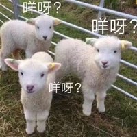 Ggg (@drogbabo) 's Twitter Profile