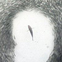 Marine Behavioural Ecology (@marinebehavecol) 's Twitter Profile