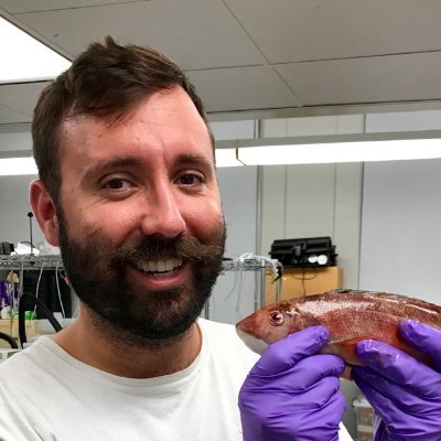 Marine ecologist | MSc @csunorthridge | BA @Occidental | Studying the impacts of marine heatwaves on rocky reefs and fish in southern California