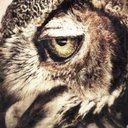 Abby Mcdonald - @AbbyMcd74038275 - Twitter