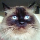 Stanley Manley - @MrStanStan - Twitter