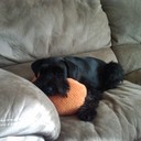 Cory Henson - @hensoncory - Twitter