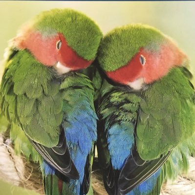 YOU50229515's profile picture. ブラック看護学校の教員だった人。