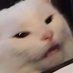 Mo Borkowski (@mos_memes) Twitter profile photo Mo Borkowski (@mos_memes) Twitter profile photo