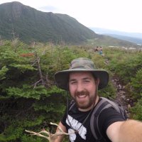 Matt McCue (@mattcmccue) 's Twitter Profile