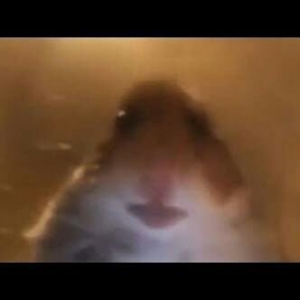 AdayltonCornejo's profile picture. .