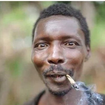 TheWorldisMyOy3's profile picture. Luck is not a chance, it's toil; fortune's expensive smile is earned.