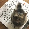 goodgirljuliee's profile picture. I’m your besty, ok ⁉️ ime 17 and a baby. banner by @daught3rnatur3! 👁 in loving memory of many frend’s whom have departed us