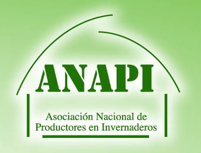 ANAPIGTM's profile picture. 