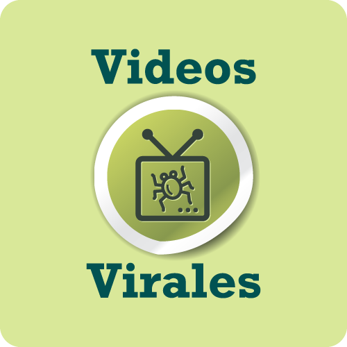 videos virales,video viral, campaña viral,marketing, 2.0.,redes sociales