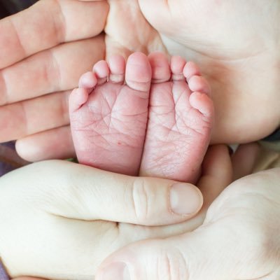 OldGuy2618's profile picture. Taco Bell fanatic, Sheepdog, and Master Crop Duster. Kindness Rules!! #BeLikeFred