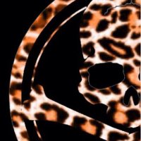 ZERO (@zero_one0909) 's Twitter Profile