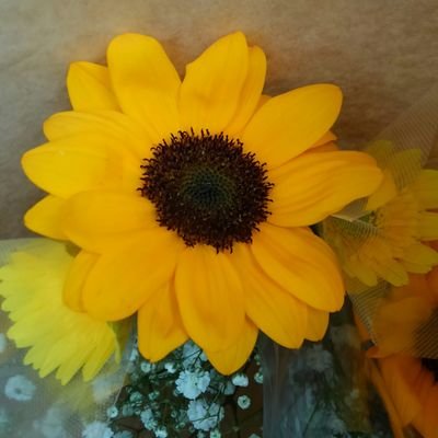Himawari972's profile picture. 