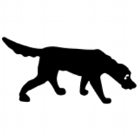 Das Schwarze Brett (@dsble) 's Twitter Profile