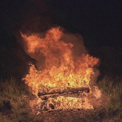 Itsasec41709900's profile picture. Nobody important , just here watching life unfold