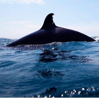 Rehaana89's profile picture. 