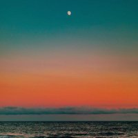 Iolani Brideau (@msiolani) 's Twitter Profile
