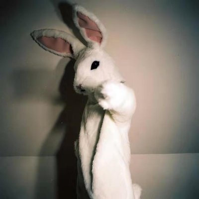 Ambery142's profile picture. Writer in Tech.