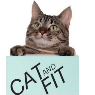 Cat_andfit
