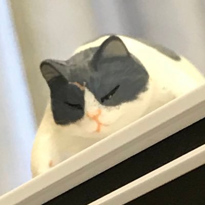 ねやこさんのプロフィール画像