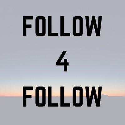 Follow4Follow! Let's make this profile the most followed on the Twitter!