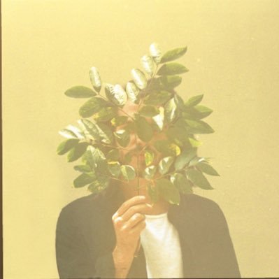 minaveera03's profile picture. vibe with me