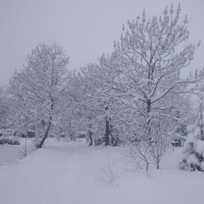 leo_turko's profile picture. tarih meraklısı