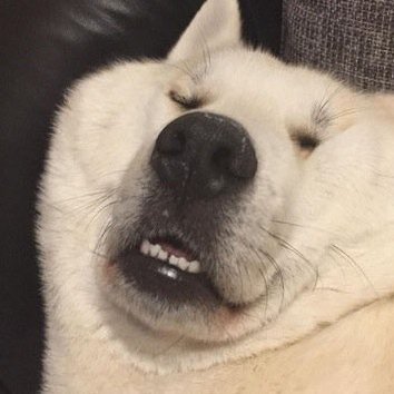 みずいろさんさんのプロフィール画像