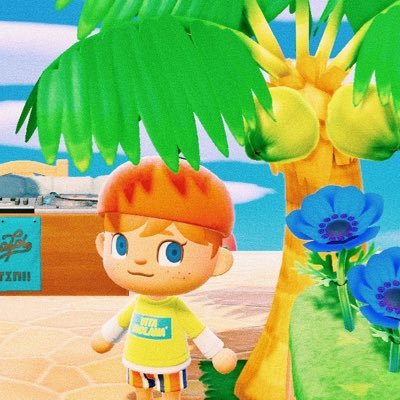 ホノルル🌴 (@waikikibeach7) / X