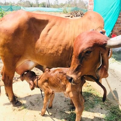 BariHareshkumar's profile picture. 