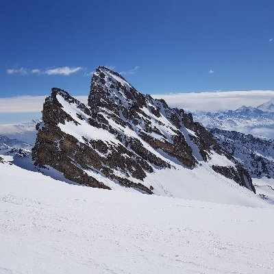 RhodoSuisse Profile Picture