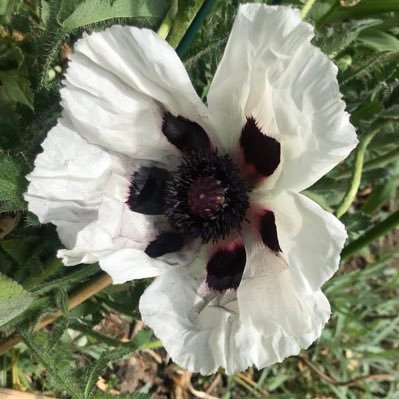 Tango3314's profile picture. 