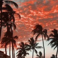 Dilara (@dilara88931247) Twitter profile photo