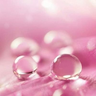 keisyahauryn's profile picture. jadilah diri sendiri