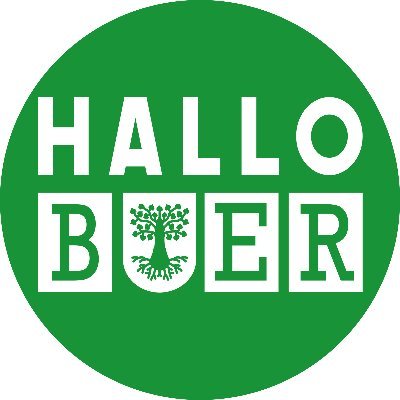 HalloBuer Profile Picture