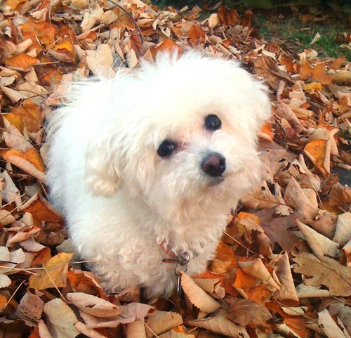 lourdes14's profile picture. 