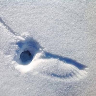 dzrdfw_'s profile picture. =晕晕/DZ。中文｜ENG。20↑，偶尔@dzrdnsfw_ ，杂食。
poipiku→https://t.co/jhmiB59OLL 。
请勿转载❤️